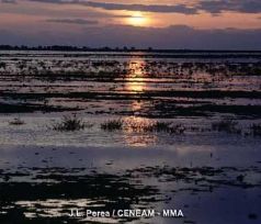 Parque Nacional de Doñana