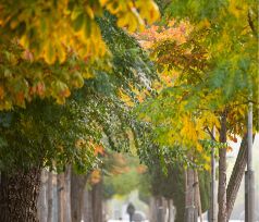 Paseo del Prado. Fotografía de Miguel Sánchez-Moñita
